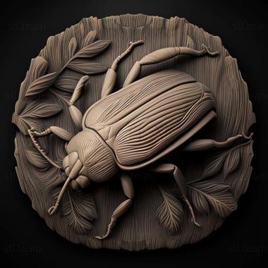 3D model Copromorphidae (STL)